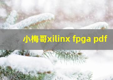 小梅哥xilinx fpga pdf